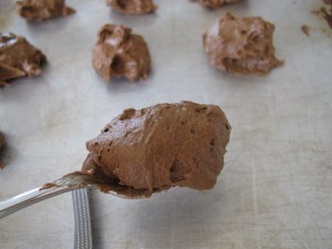 Chocolate Chocolate Chip Cookies (5)