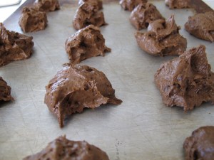 Chocolate Chocolate Chip Cookies (6)
