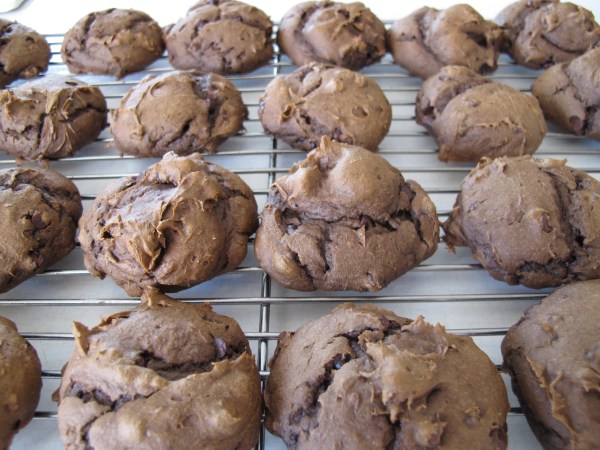 Chocolate Chocolate Chip Cookies (7)