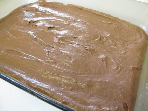 Chocolate Cream Cheese Cake (3)