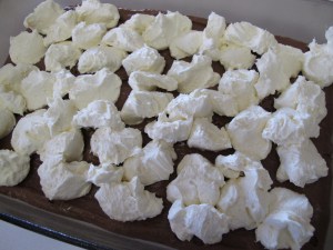 Chocolate Cream Cheese Cake (4)