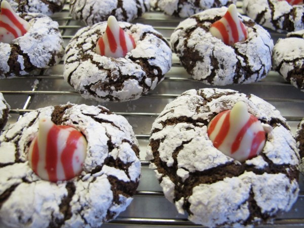 Chocolate Crinkles (11)