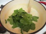 Chicken Gnocchi Soup&nbsp;(11)