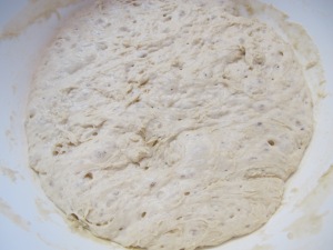 Crusty Artisan Bread (2)