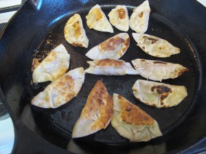 Gyoza (13)