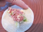 Gyoza (6)