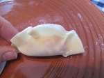 Gyoza (7)