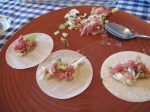 Gyoza (8)