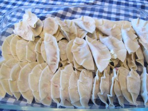 Gyoza (9)