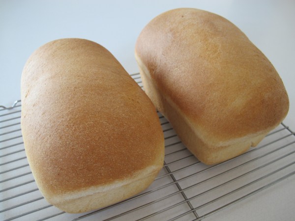 Honey Wheat Bread (13)
