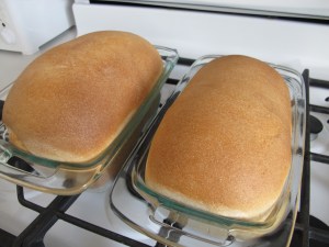 Honey Wheat Bread (15)