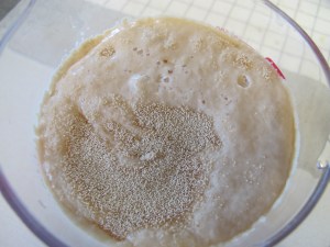 Honey Wheat Bread (4)