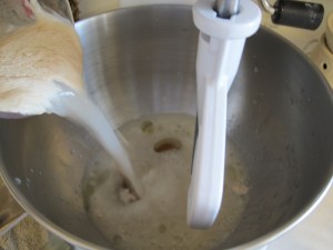 Honey Wheat Bread (6)