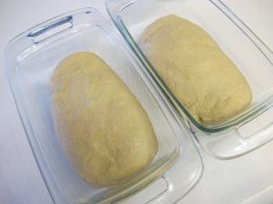 Honey Wheat Bread (8)