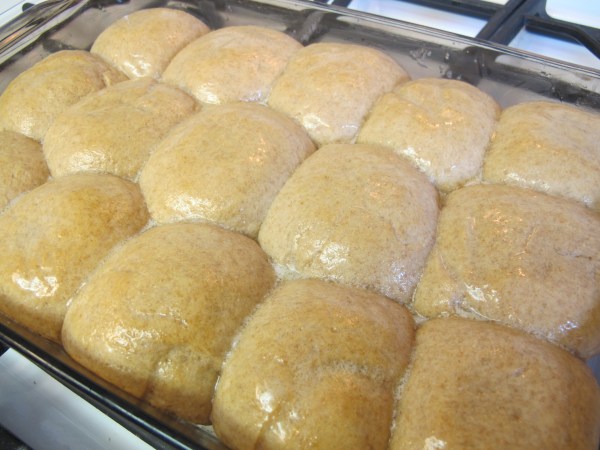 Honey Wheat Rolls (10)