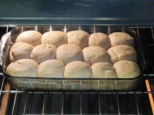Honey Wheat Rolls (8)