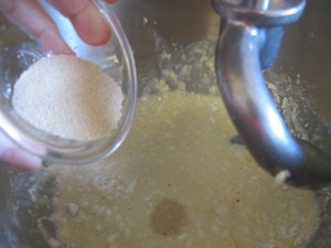 Cinnamon Pull-Apart Loaf (19)