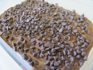 Chocolate Pudding Brownies (6)