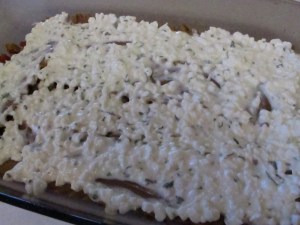 Lasagna (Low Cal) (17)