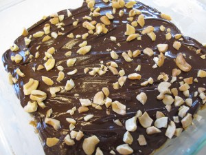 Peanut Butter Krispie Bars (11)