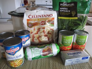 1Cheese Tortellini Soup (2)