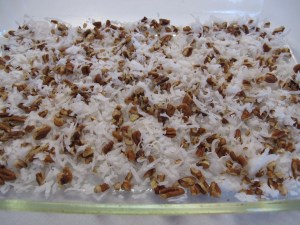 1 German Chocolate Cake in a Pan (4)