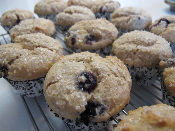 Blueberry Muffins (11)