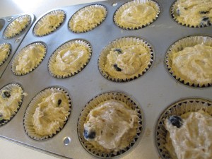 Blueberry Muffins (9)