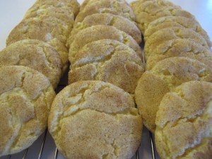 1 Snickerdoodles (11)