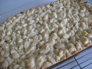 1 Shortbread Caramel Bars (16)